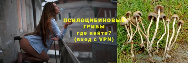 спиды Осинники