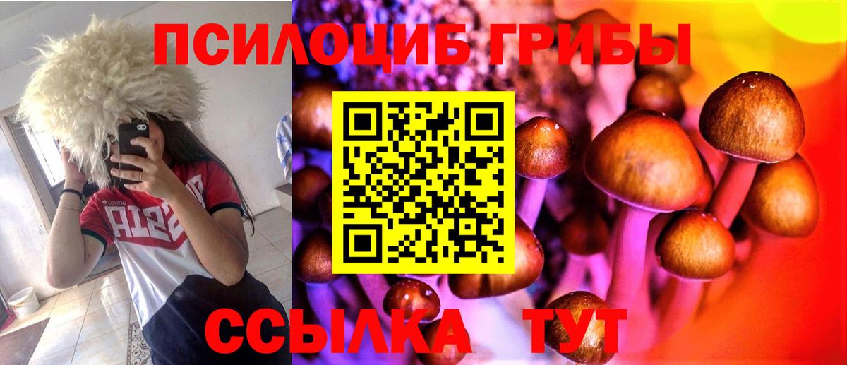 Галлюциногенные грибы Magic Shrooms  Псилоцибиновые грибы мицелий  Белебей  даркнет сайт  Вход с VPN 