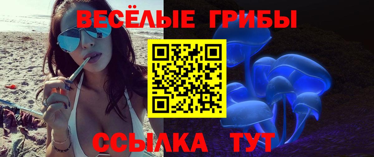 Псилоцибиновые грибы Psilocybine cubensis Белебей